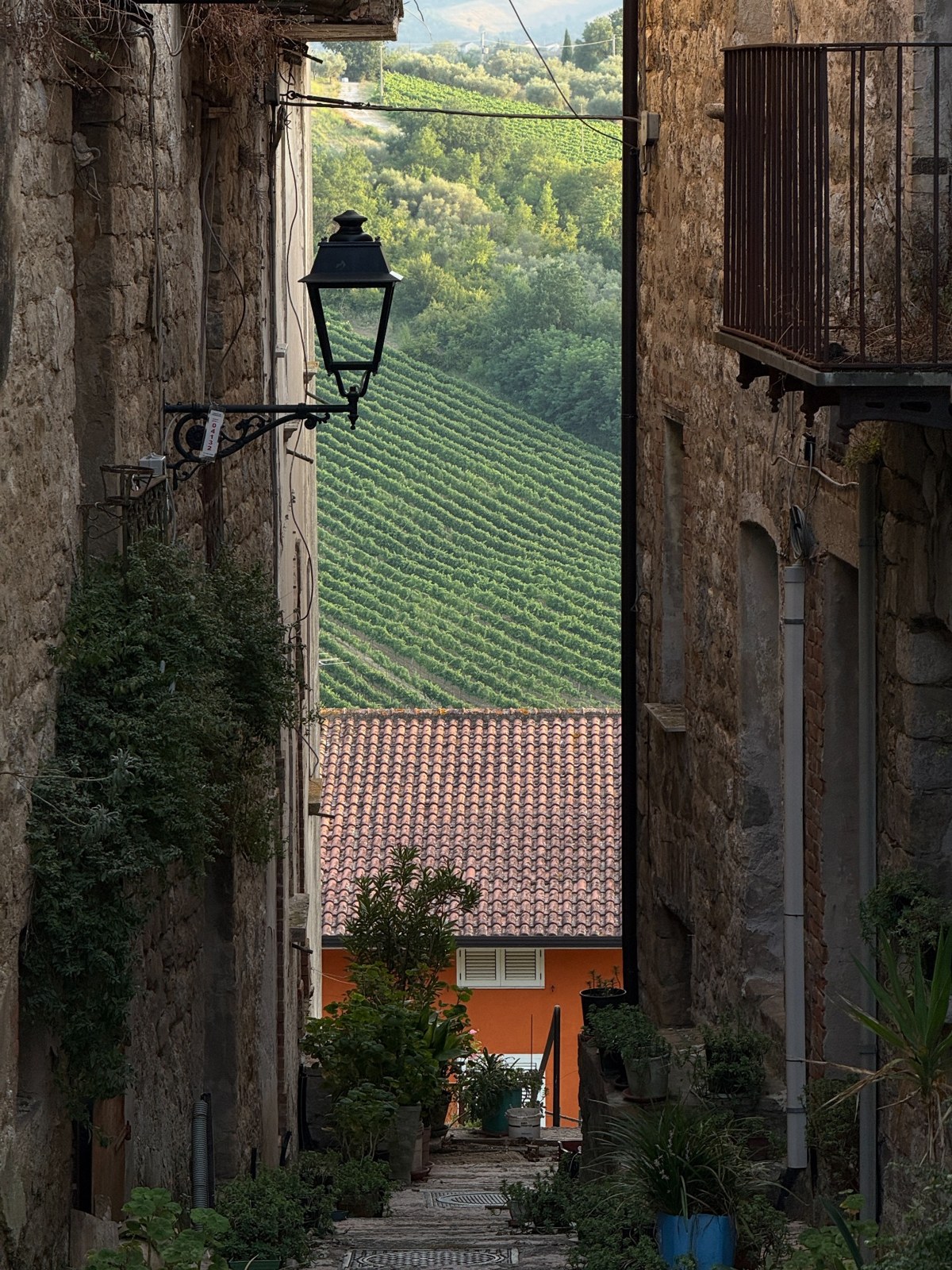 Percorso fotografico dei belvedere panoramici